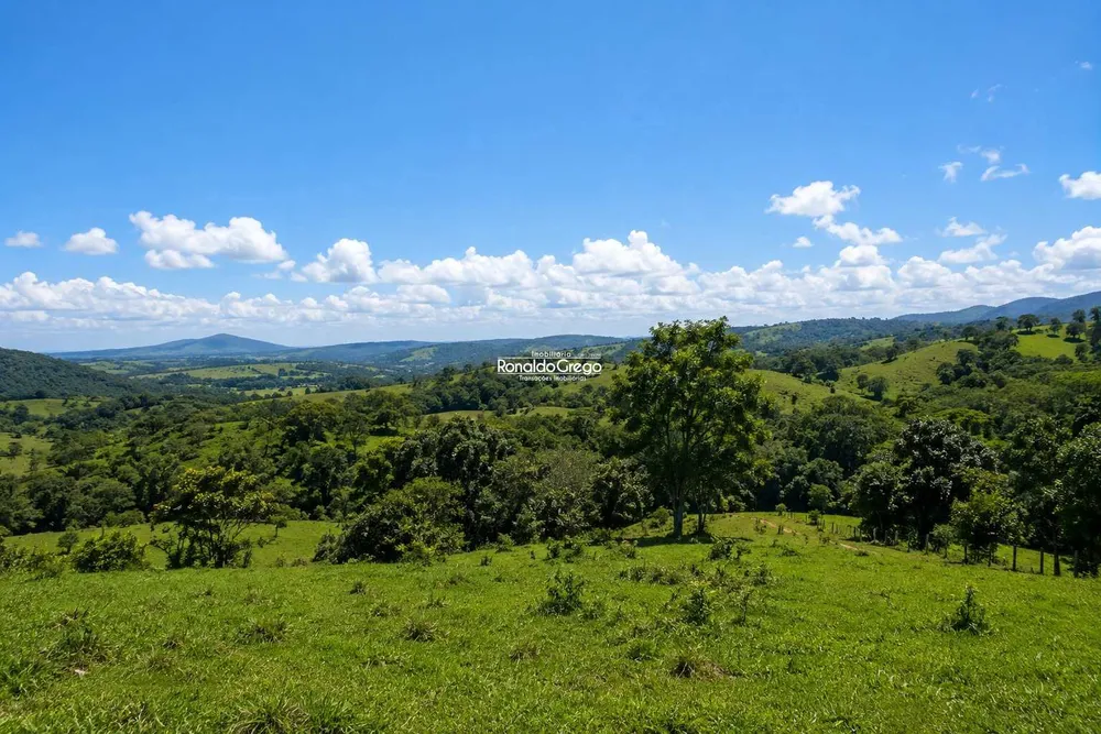 Fazenda, 298 hectares - Foto 6