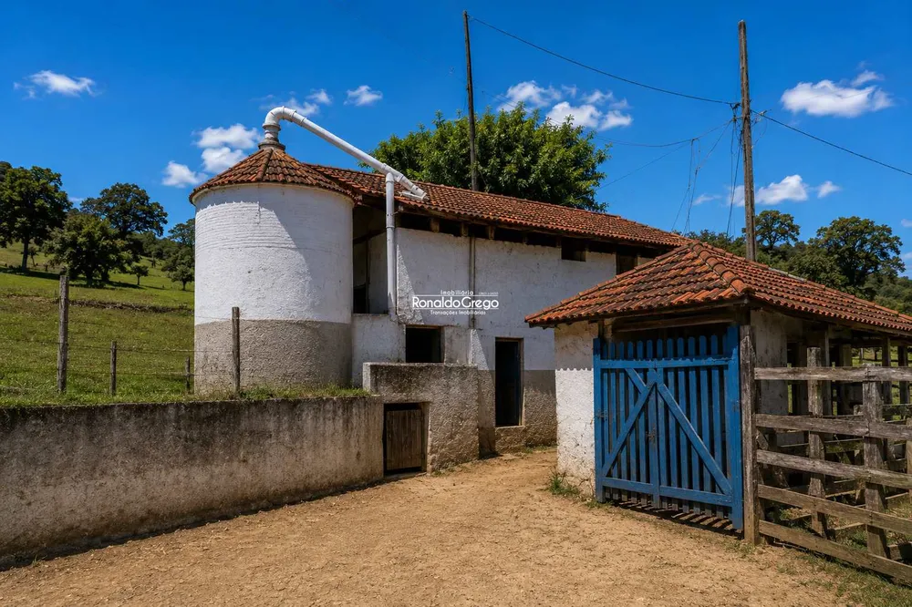 Fazenda, 298 hectares - Foto 3
