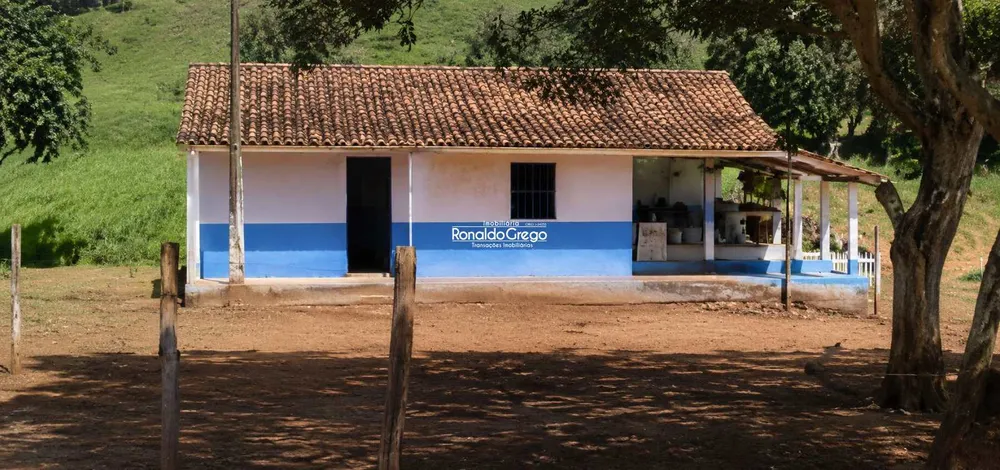 Fazenda, 298 hectares - Foto 4