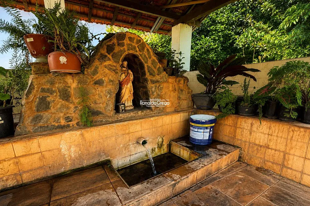 Fazenda, 29 hectares - Foto 4
