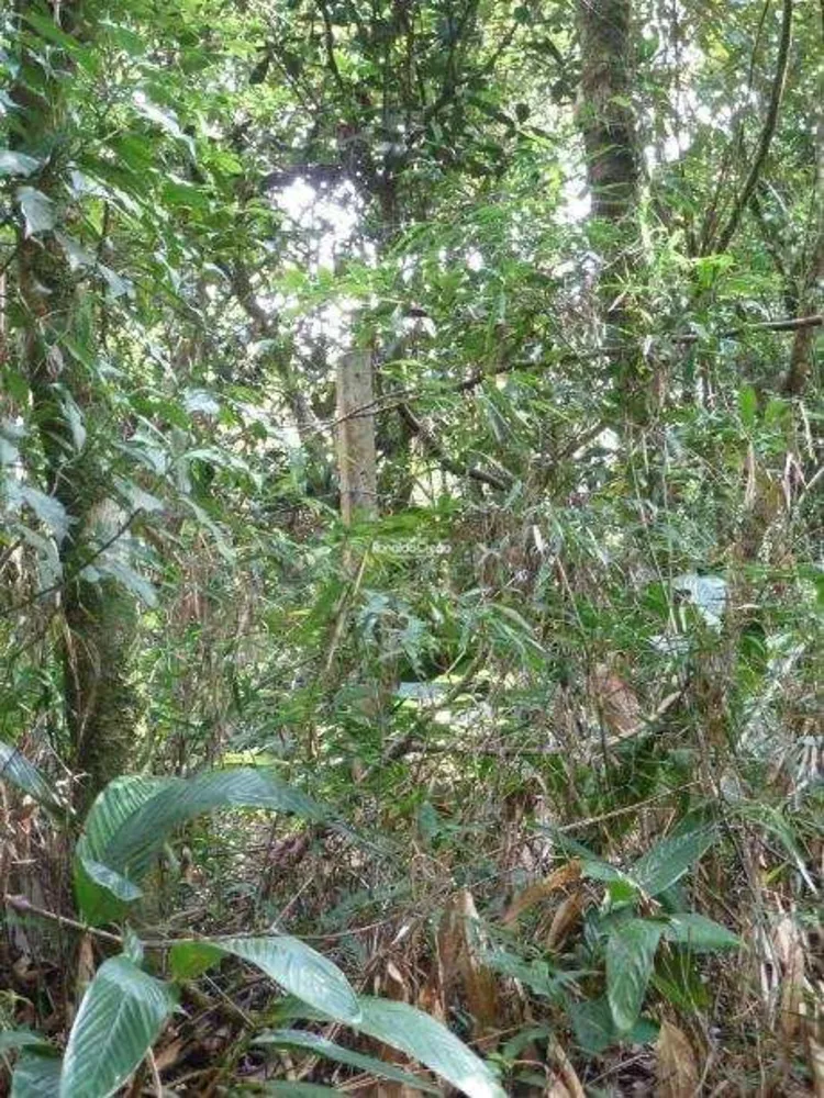 Terreno, 22 hectares - Foto 1