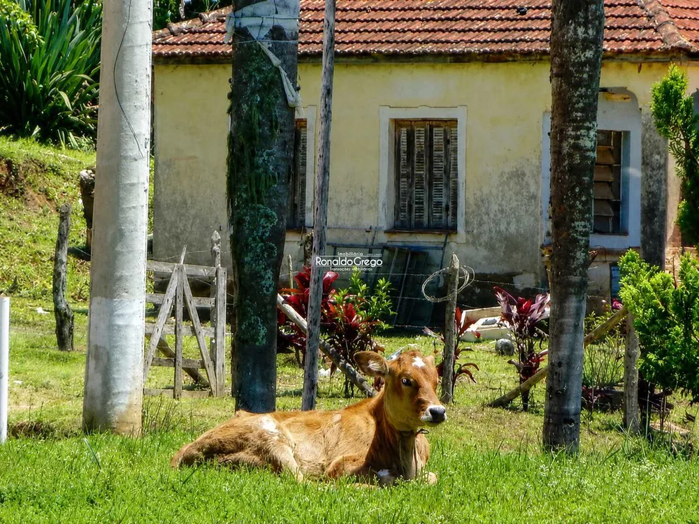 Fazenda, 220 hectares - Foto 2