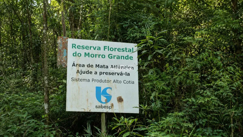 Fazenda, 220 hectares - Foto 8
