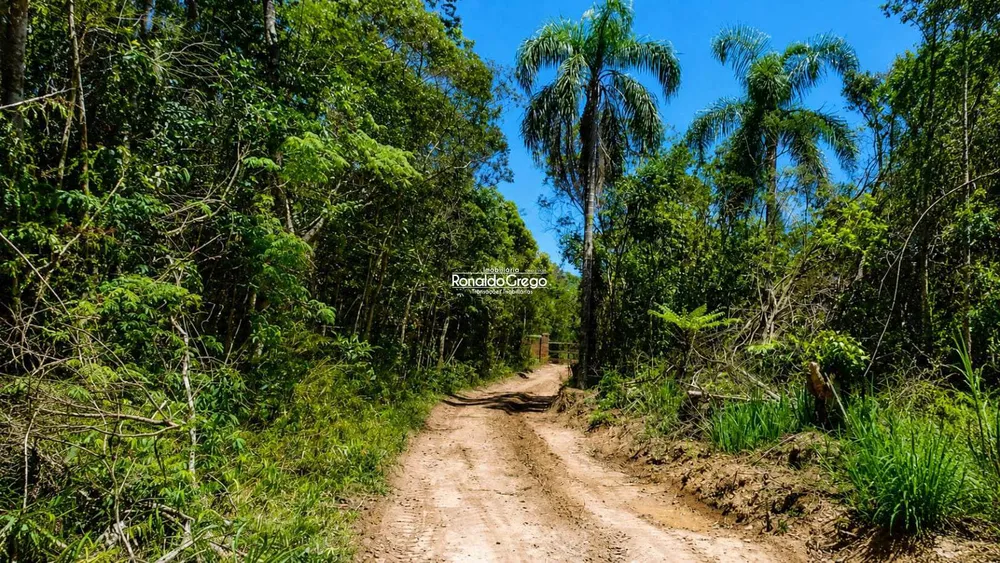 Fazenda, 220 hectares - Foto 3