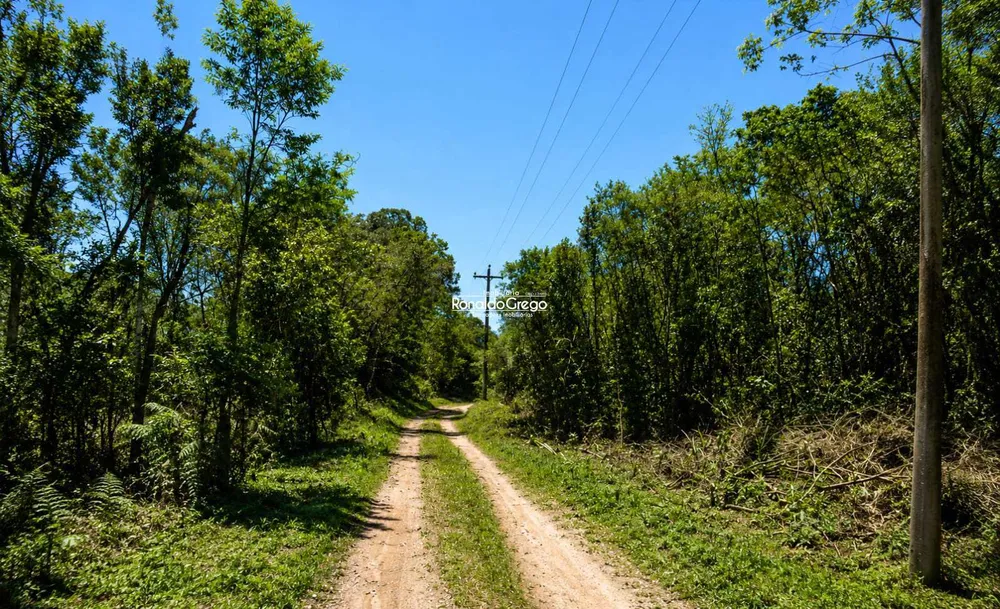 Fazenda, 220 hectares - Foto 7
