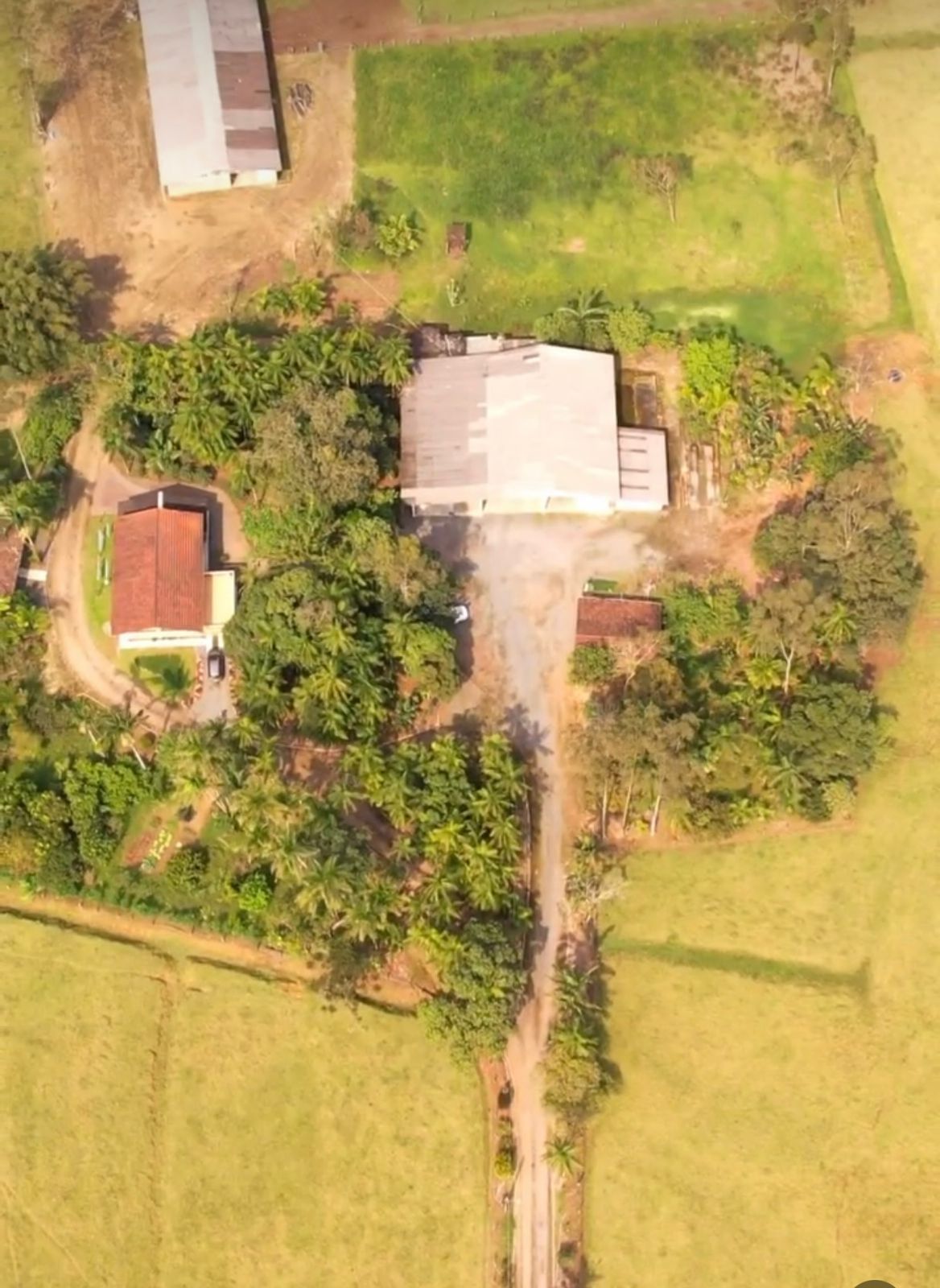 Fazenda à venda com 5 quartos, 1510000m2 - Foto 3