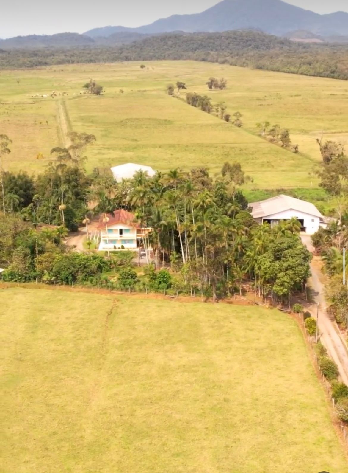 Fazenda à venda com 5 quartos, 1510000m2 - Foto 4