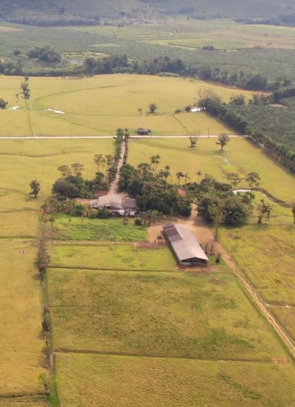 Fazenda à venda com 5 quartos, 1510000m2 - Foto 2