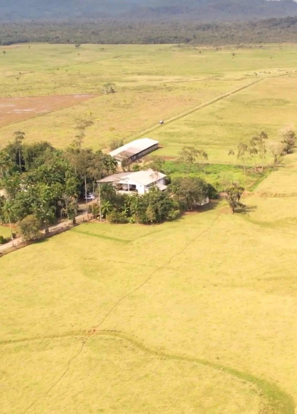 Fazenda à venda com 5 quartos, 1510000m2 - Foto 6