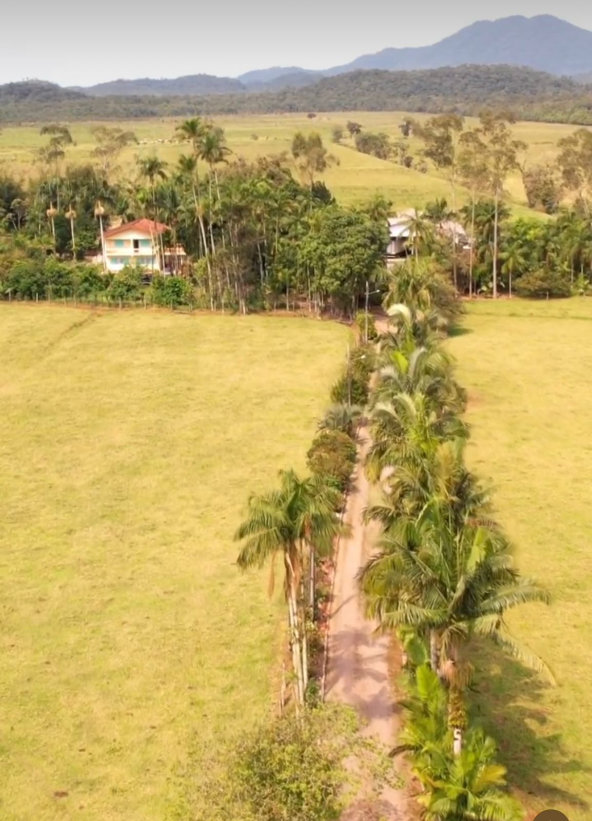 Fazenda à venda com 5 quartos, 1510000m2 - Foto 5