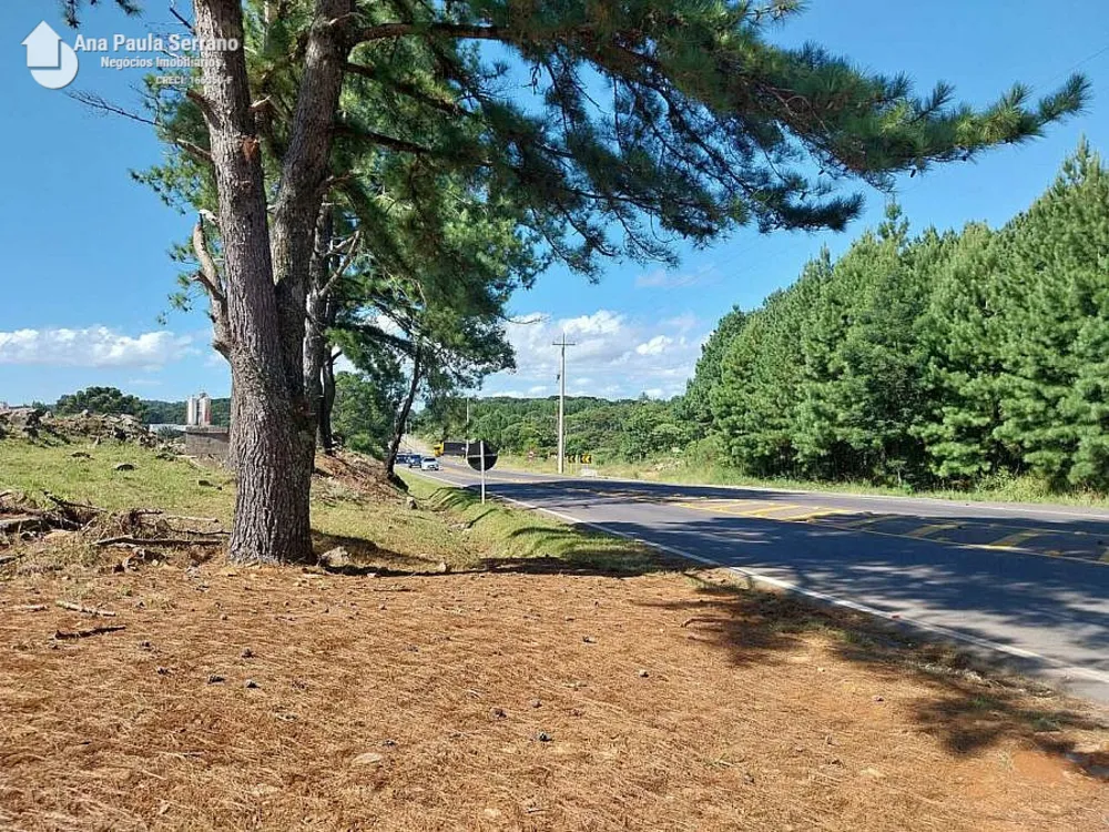 Terreno, 1120 m² - Foto 5
