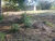 Terreno, 401 m² - Foto 5