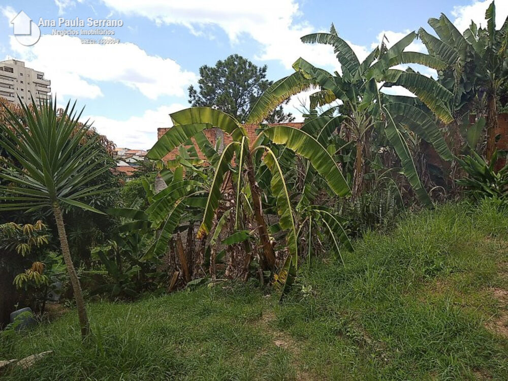 Chácara à venda com 3 quartos, 2189m² - Foto 13