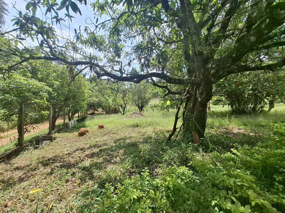Terreno, 1500 m² - Foto 8