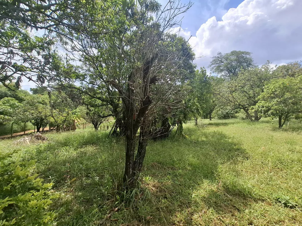 Terreno, 1500 m² - Foto 4