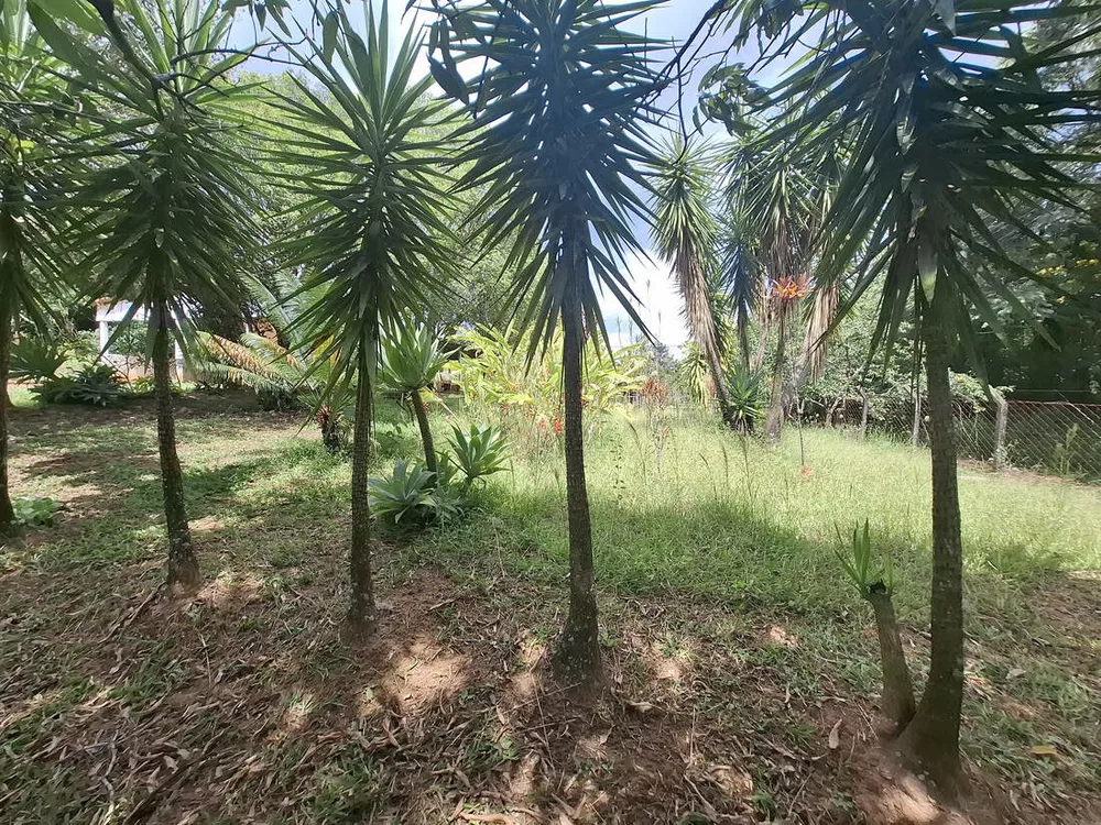 Terreno, 1500 m² - Foto 7