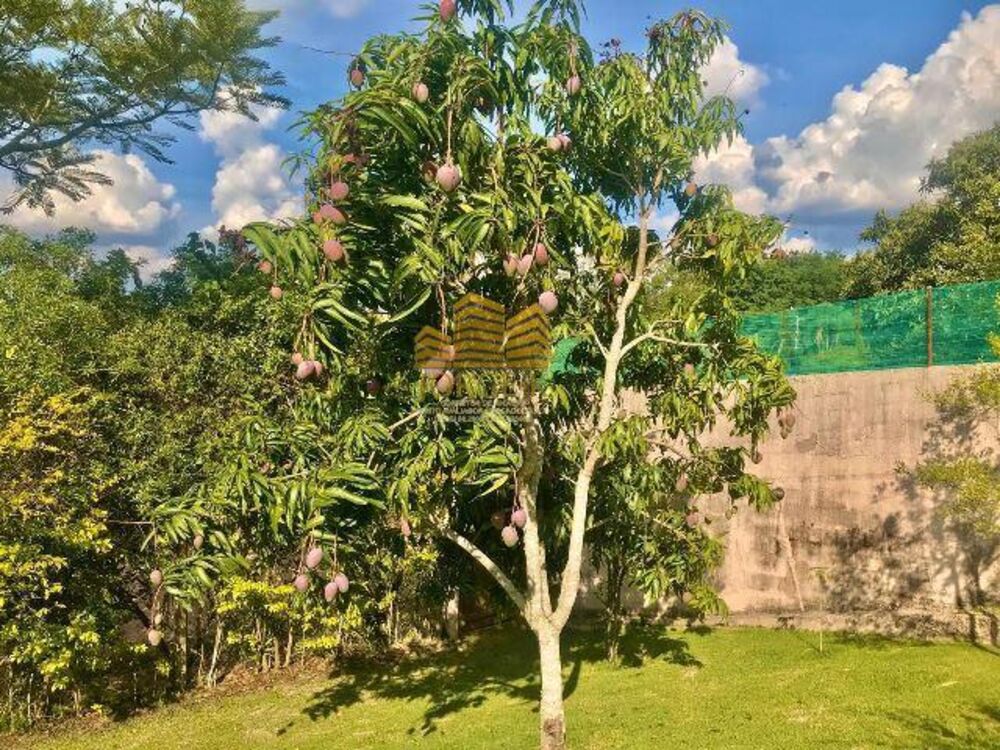 Chácara à venda com 3 quartos, 1000m² - Foto 3