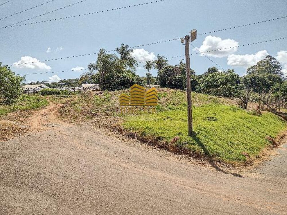 Sítio, 2 hectares - Foto 4