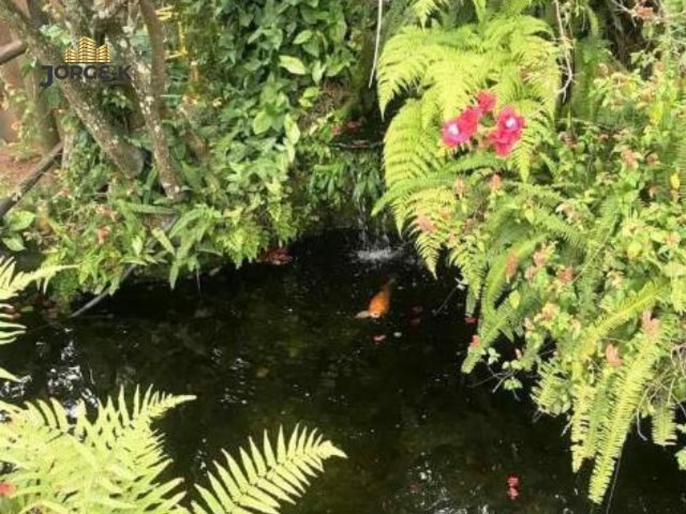 Chácara, 4 quartos, 2100 m² - Foto 15