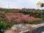 Terreno, 175 m² - Foto 3