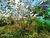 Terreno, 471 m² - Foto 3