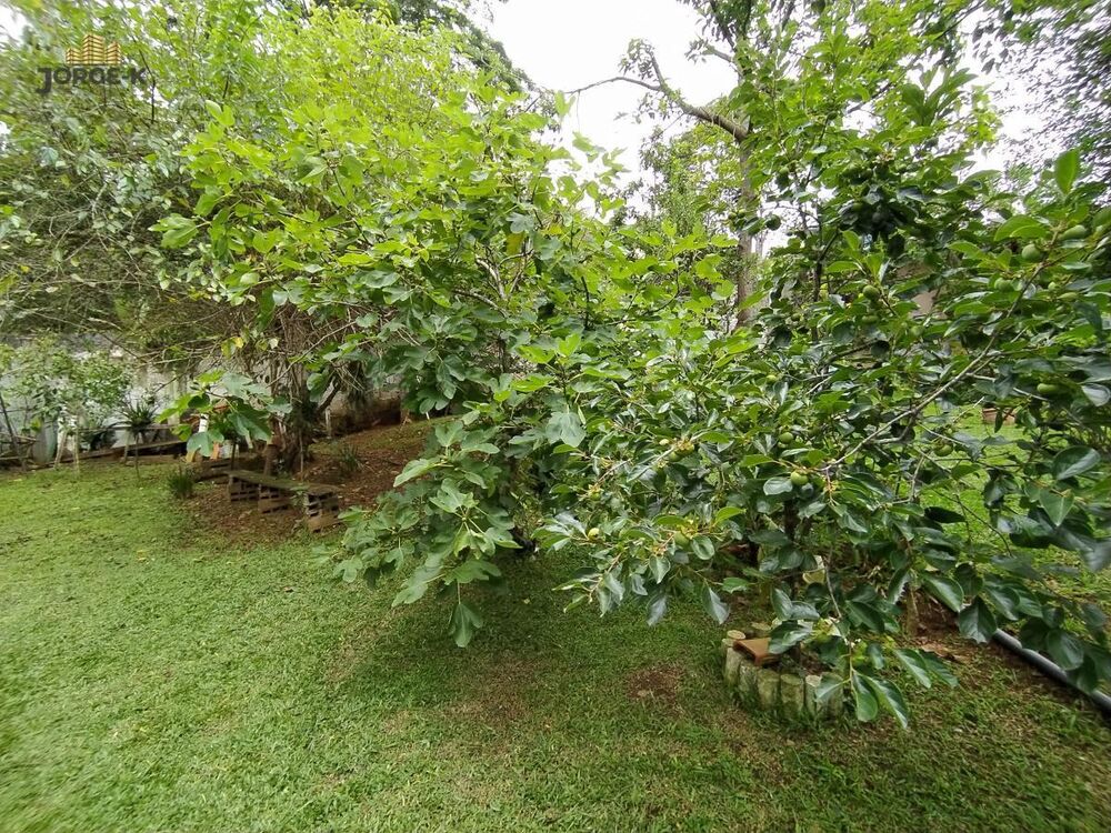 Chácara, 4 quartos, 1740 m² - Foto 8