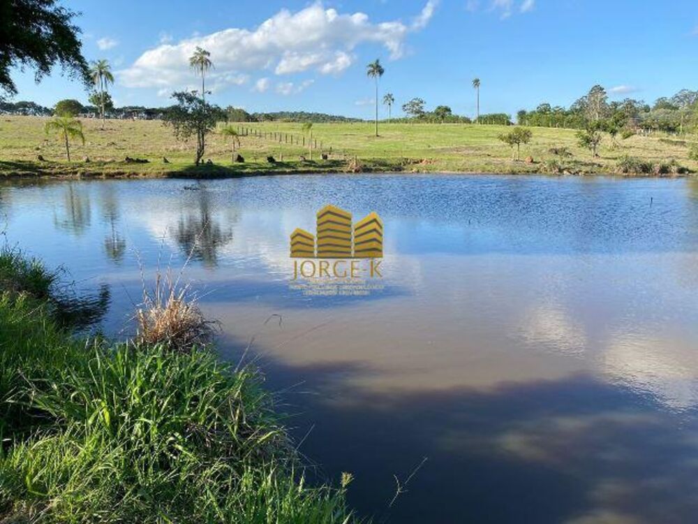 Terreno, 16 hectares - Foto 4