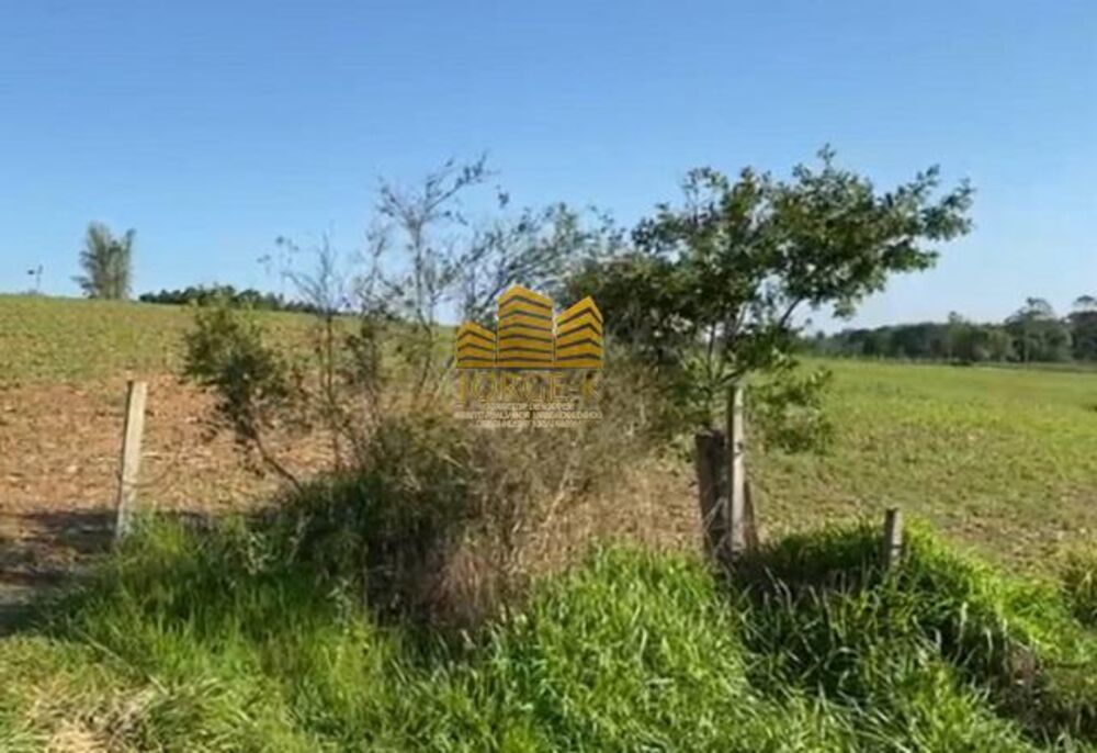 Terreno, 16 hectares - Foto 3
