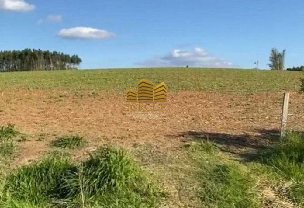 Terreno, 16 hectares - Foto 2