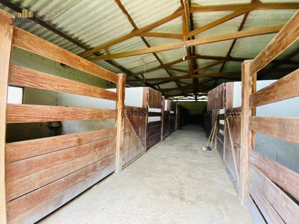 Fazenda, 34 hectares - Foto 3