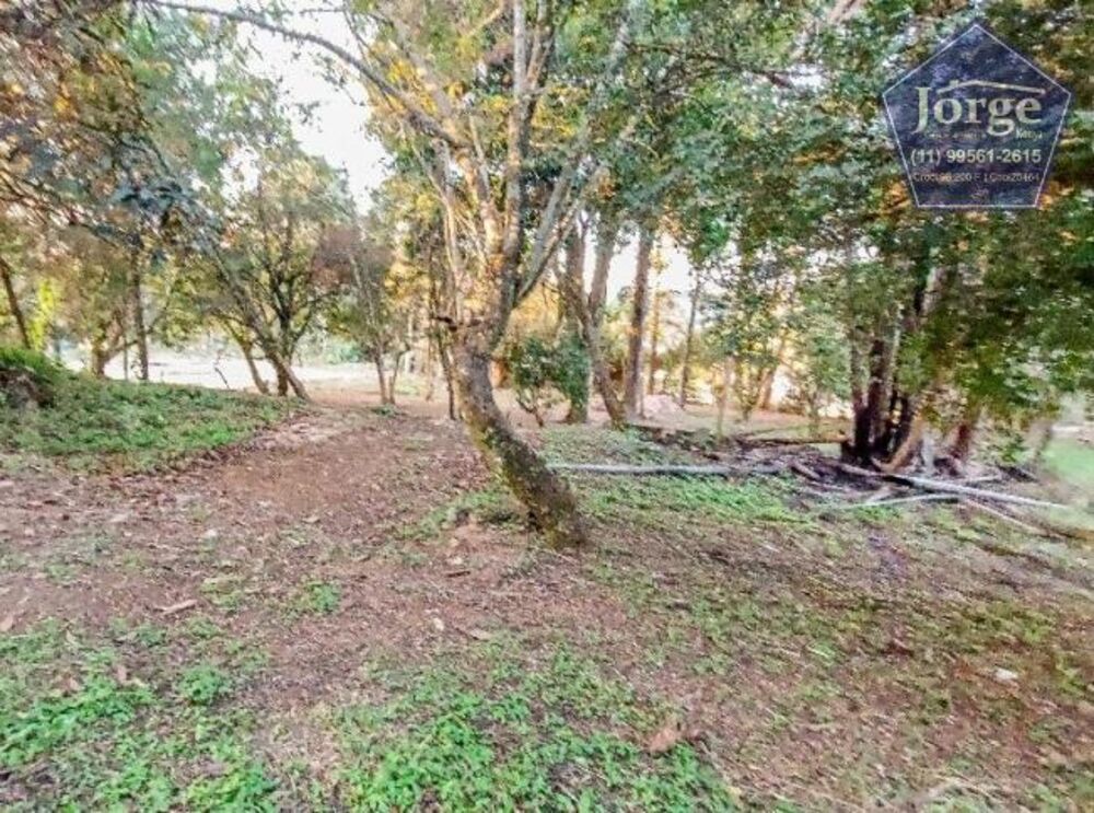 Terreno, 505 m² - Foto 6