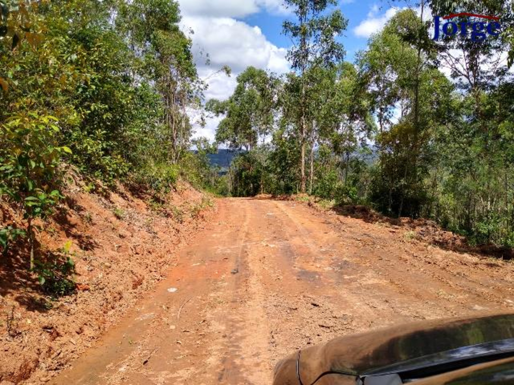 Terreno, 22 hectares - Foto 3