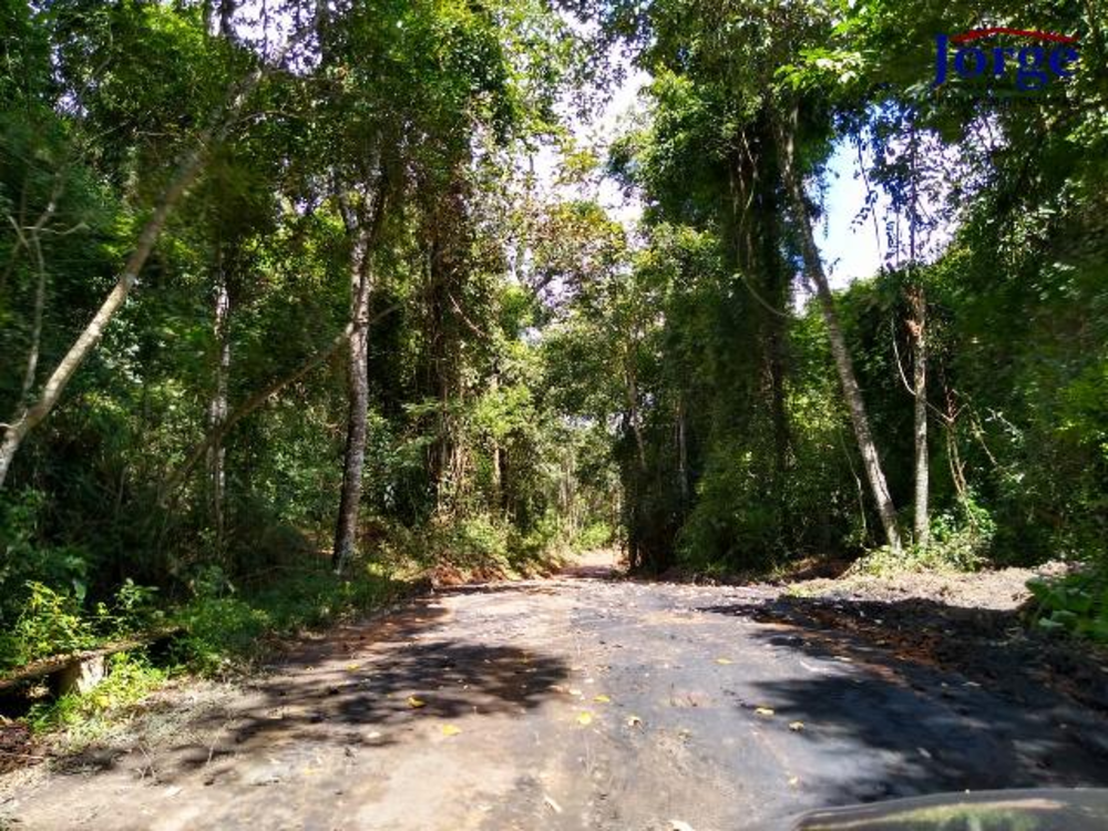 Terreno, 22 hectares - Foto 4