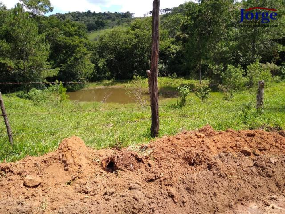 Terreno, 22 hectares - Foto 9