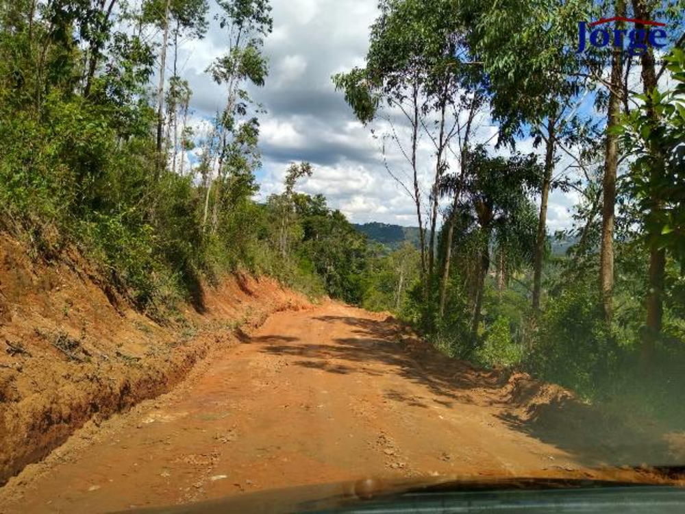 Terreno, 22 hectares - Foto 2