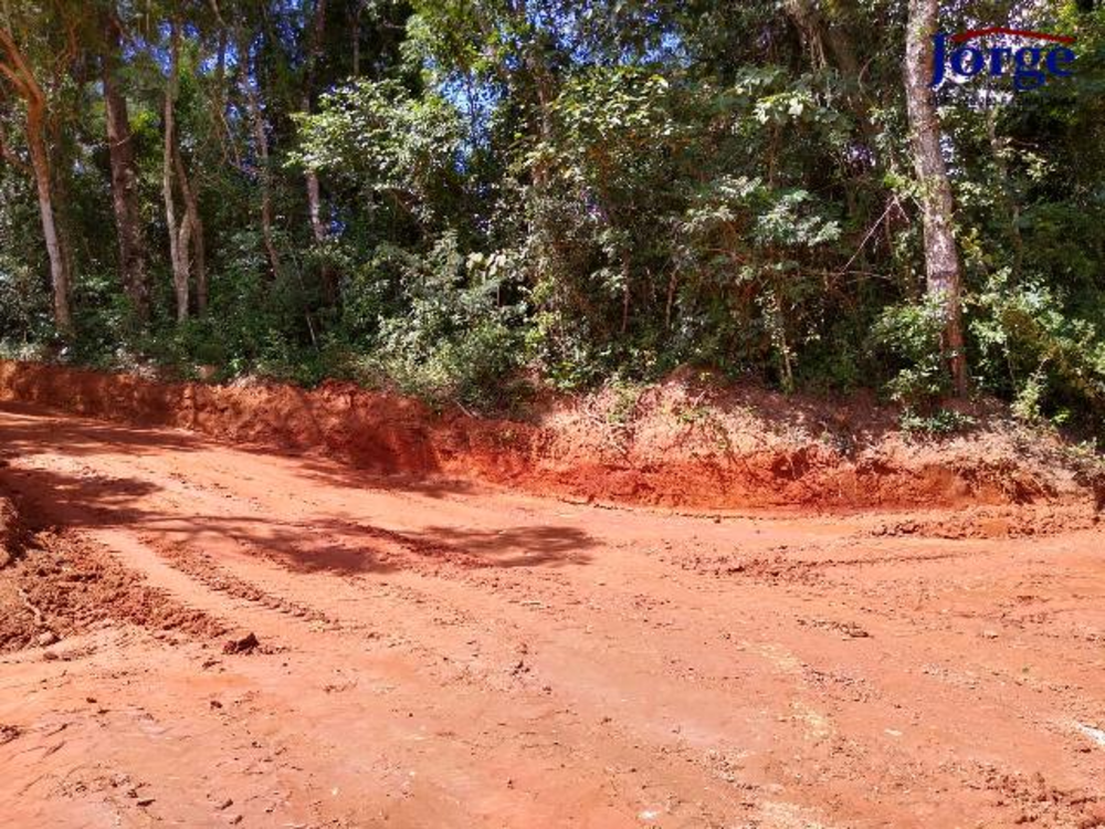 Terreno, 22 hectares - Foto 7