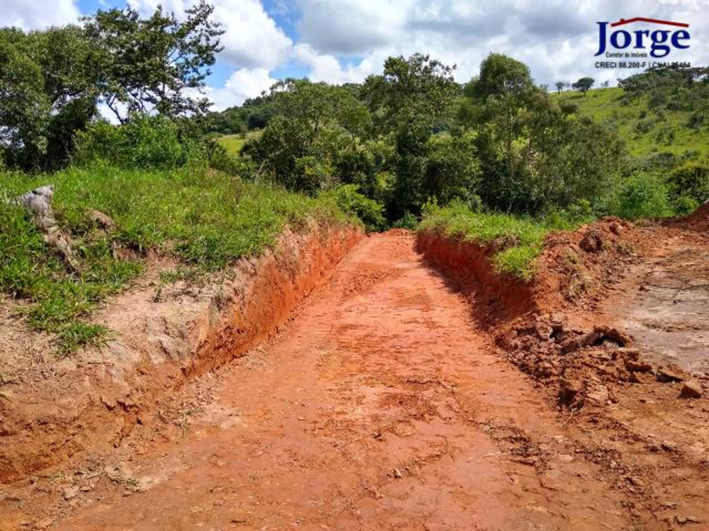 Terreno, 22 hectares - Foto 10