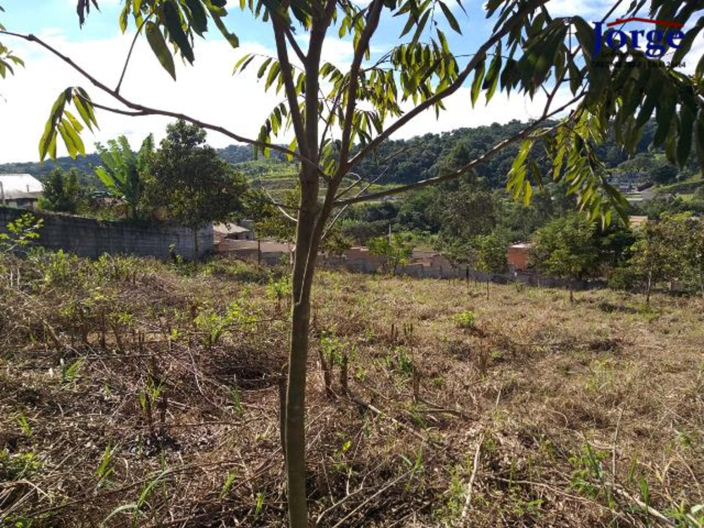 Terreno, 1239 m² - Foto 7