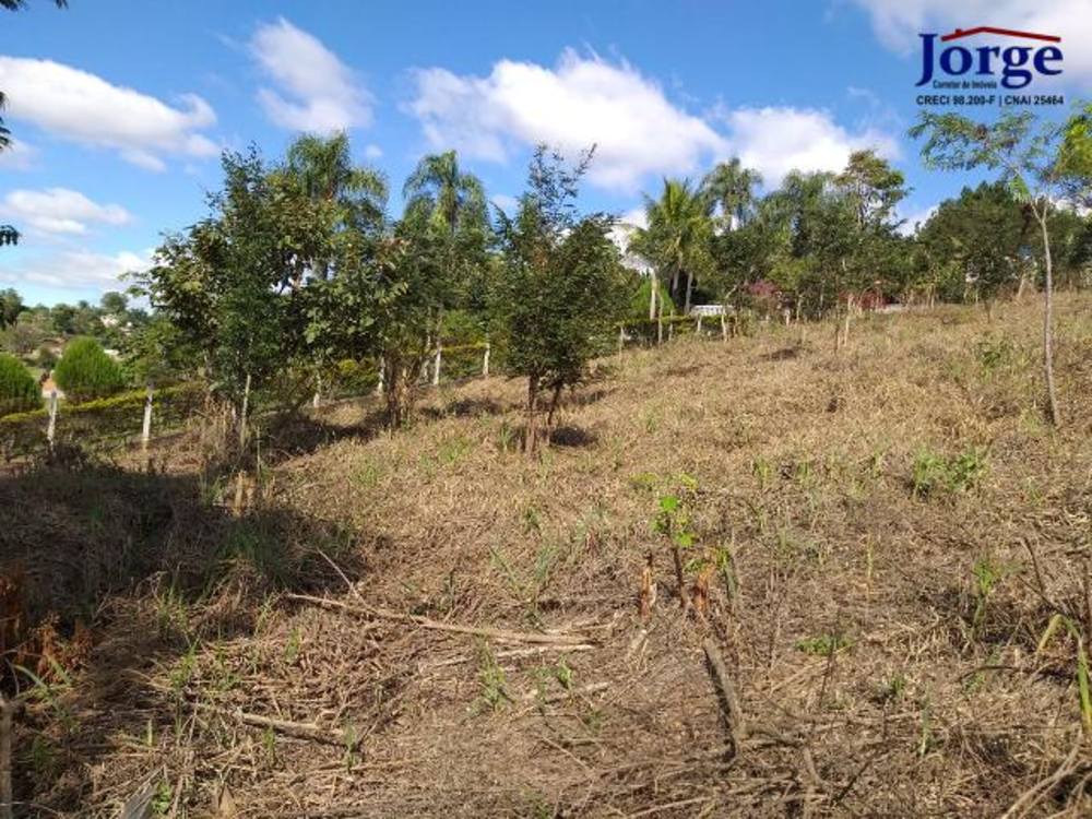 Terreno, 1239 m² - Foto 5