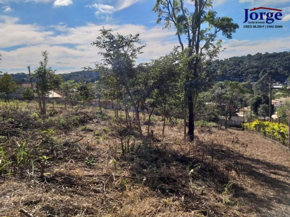 Terreno, 1239 m² - Foto 2