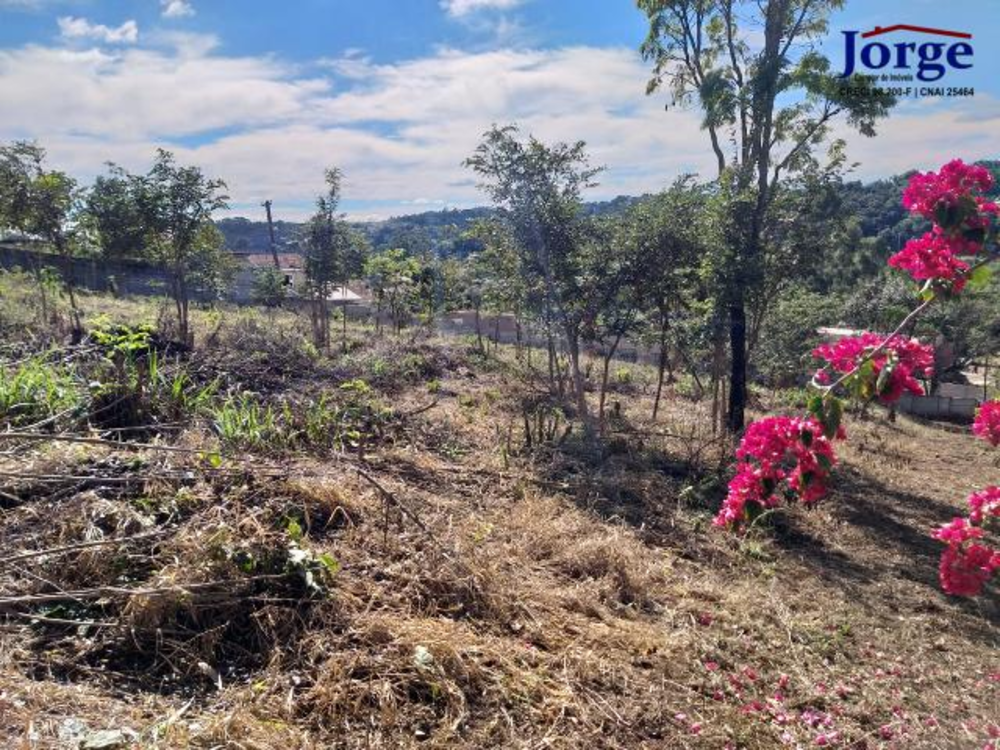 Terreno, 1239 m² - Foto 3