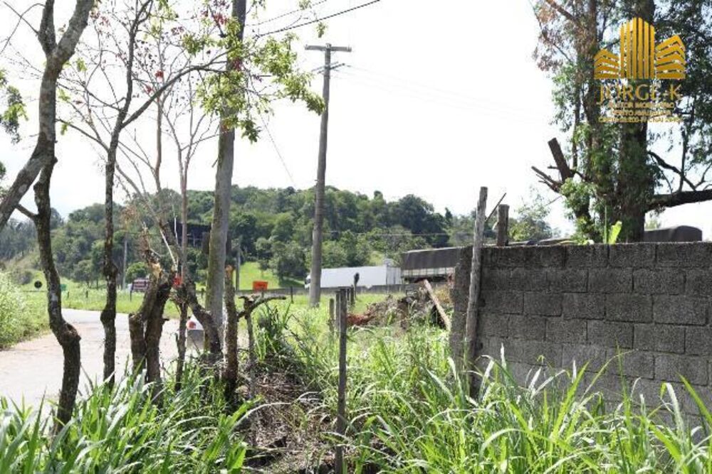 Terreno, 10000 m² - Foto 5