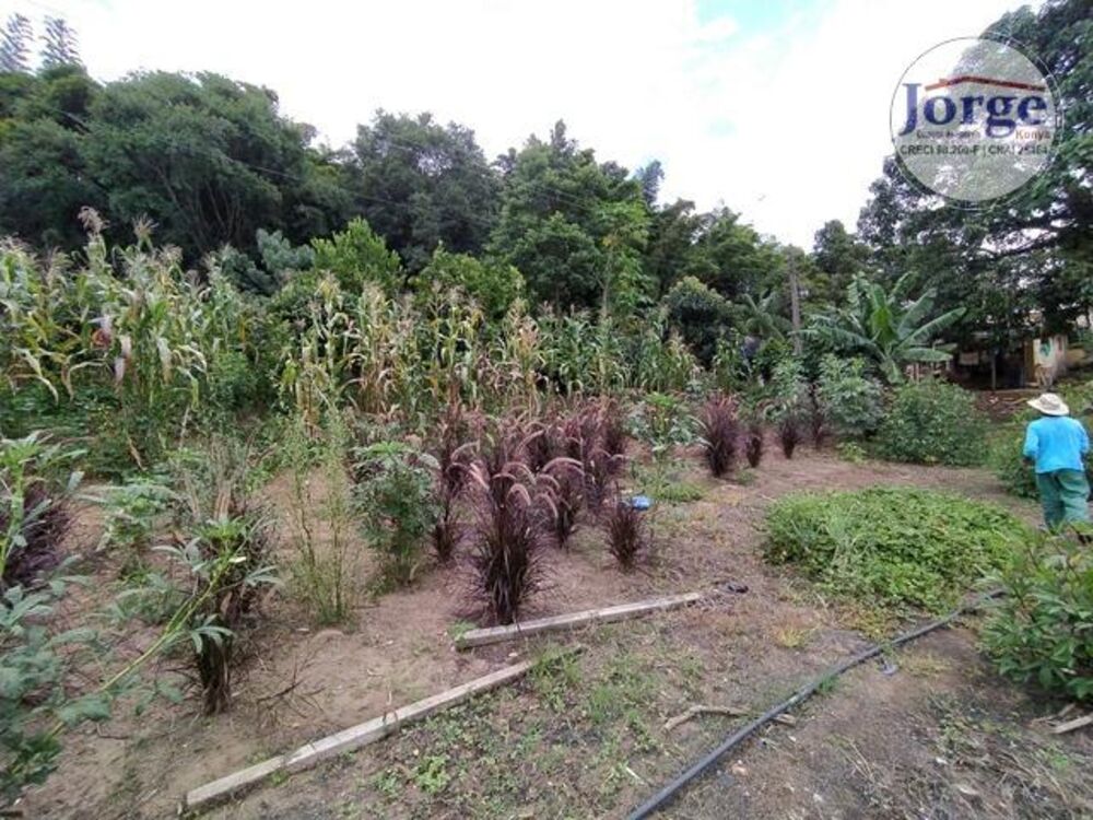 Terreno, 7 hectares - Foto 10