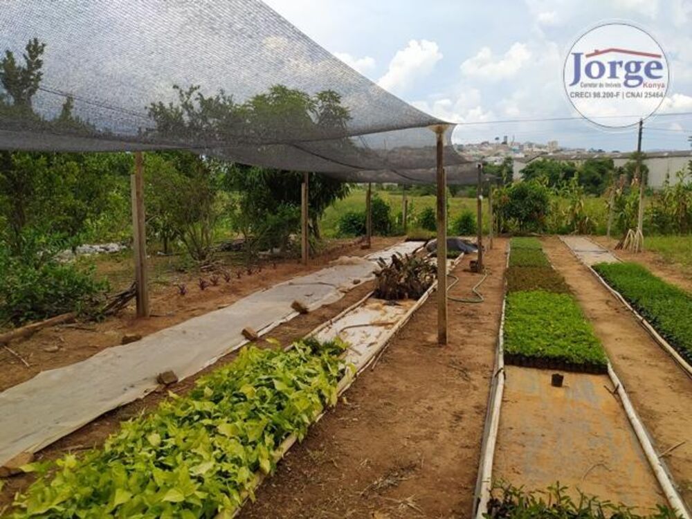 Terreno, 7 hectares - Foto 6