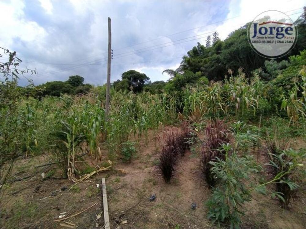 Terreno, 7 hectares - Foto 2