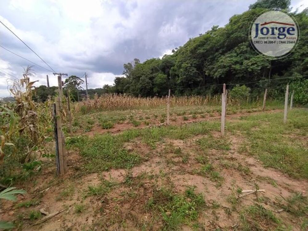 Terreno, 7 hectares - Foto 3
