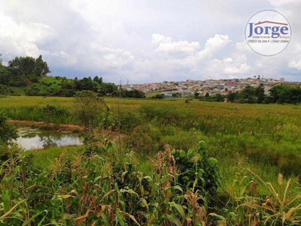 Terreno, 7 hectares - Foto 7