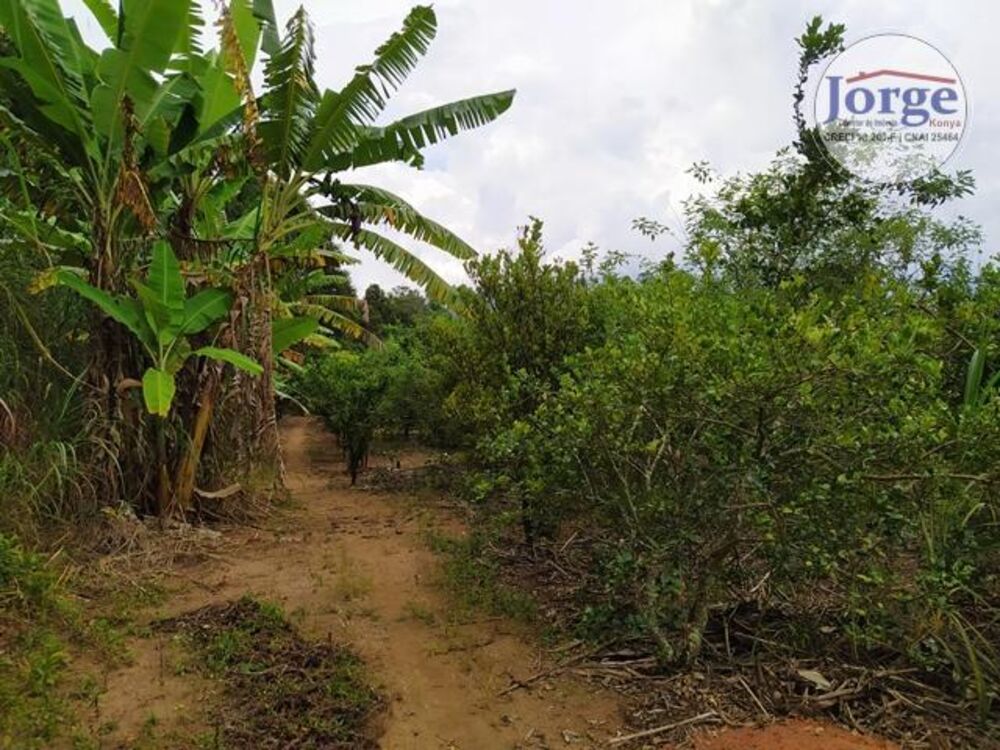 Terreno, 7 hectares - Foto 12