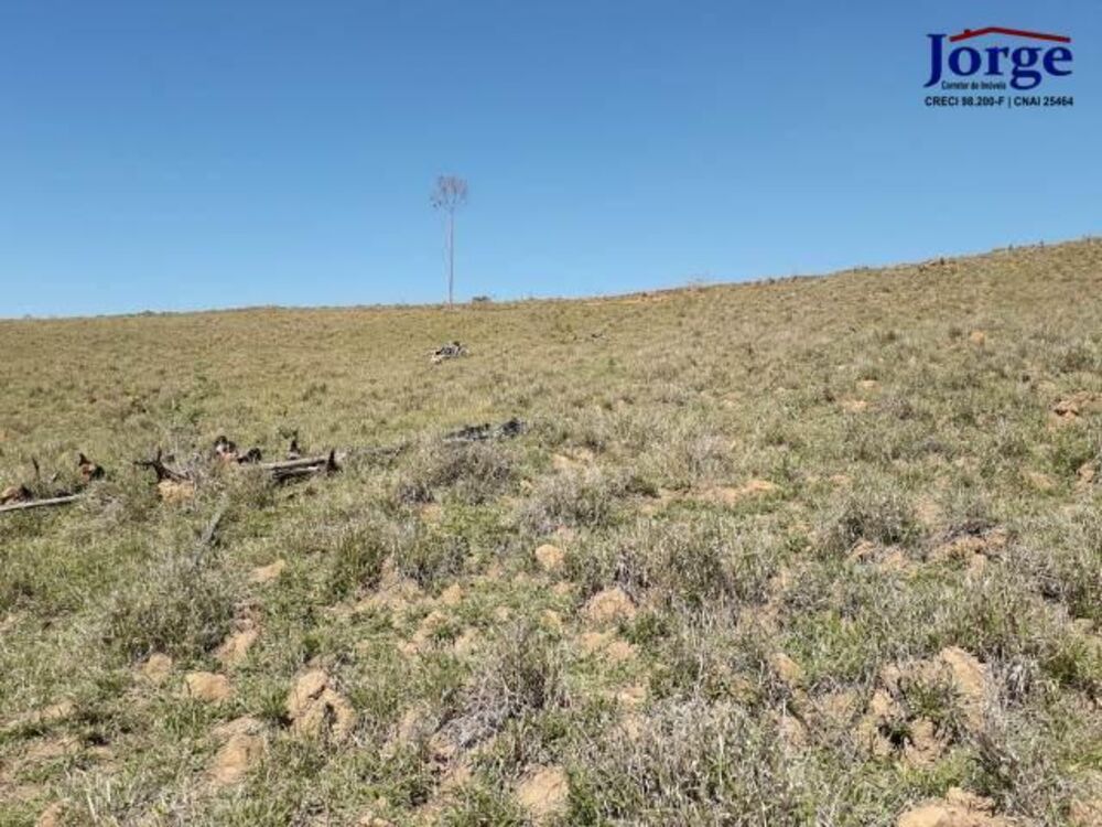 Terreno, 41 hectares - Foto 19