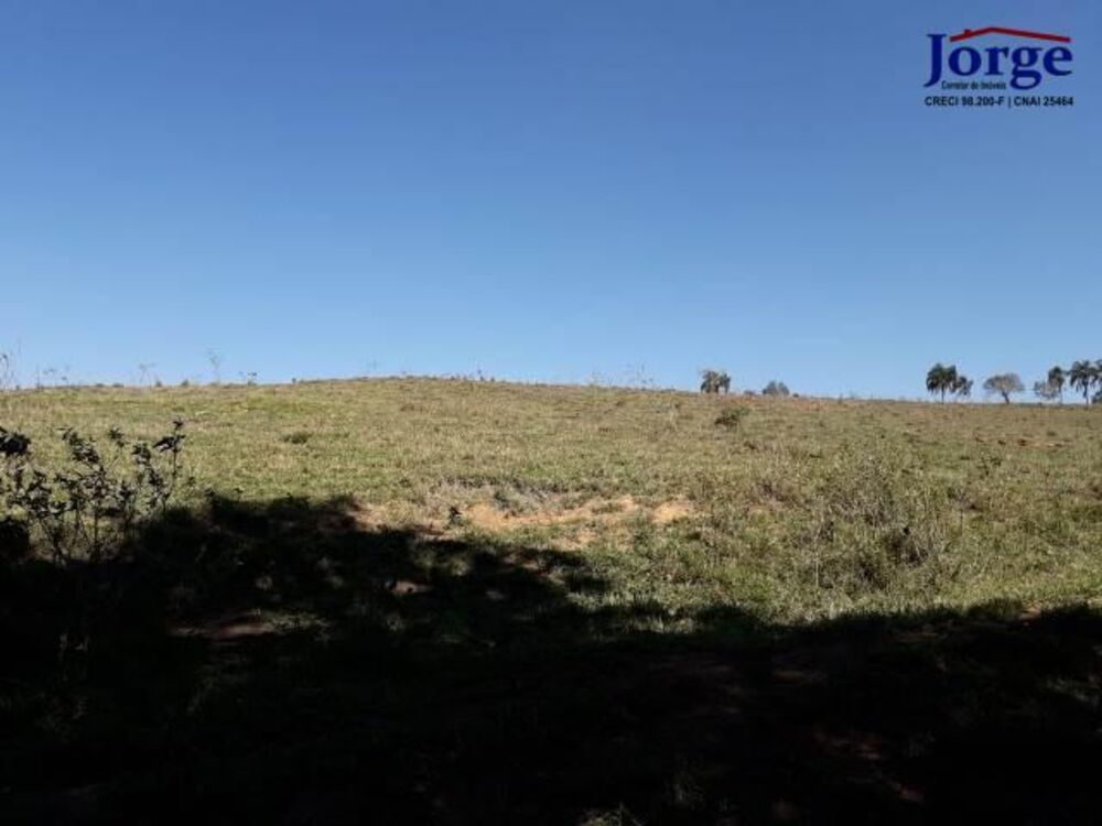 Terreno, 41 hectares - Foto 13